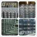 High quality sheep wire mesh fence/wire mesh cattle fence( Factory)